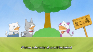 Hashiri Tsuzukete Yokattatte.